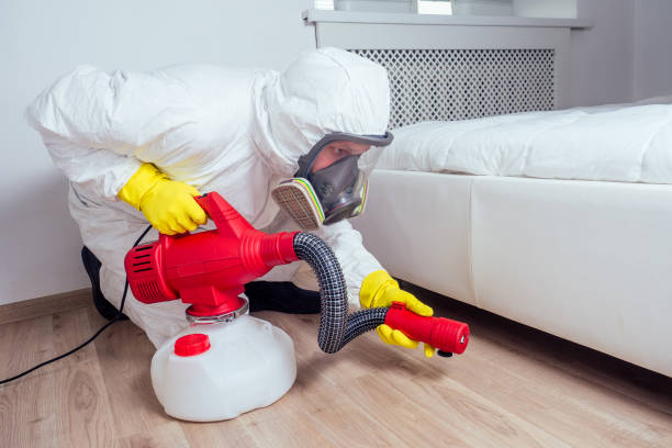 Reliable Bogota, NJ Pest Control Solutions