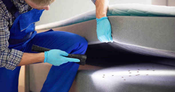 Best Pest Control Near Me in Bogota, NJ