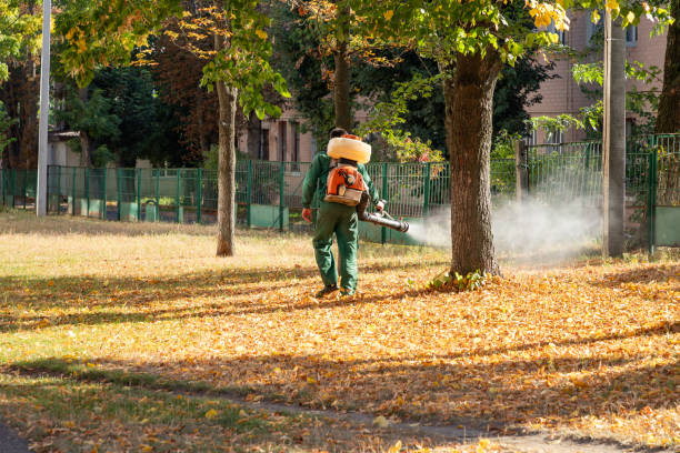 Best Pest Removal Services  in Bogota, NJ